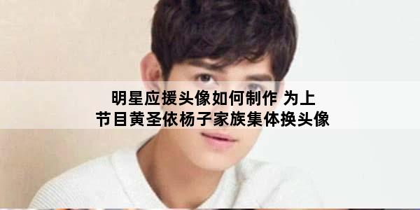 明星应援头像如何制作 为上节目黄圣依杨子家族集体换头像
